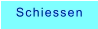 Schiessen